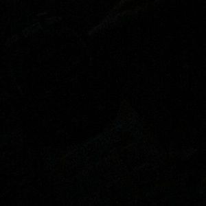 Meet your Posher, Shelley